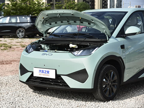 2026�� 305km ���ɰ�