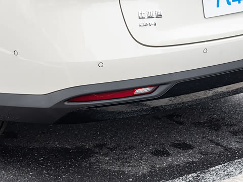 2027�� DM-i 230KM������