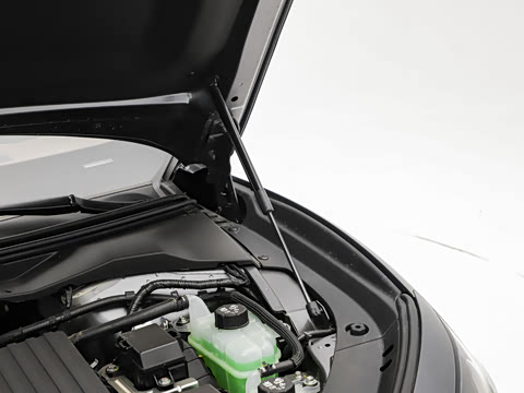 2025�� ������