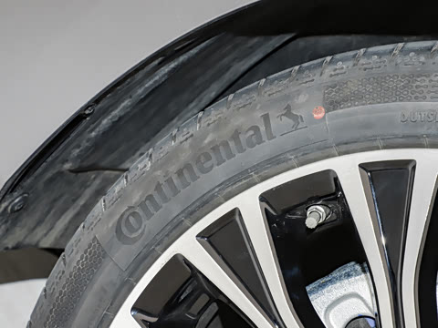 2025�� ������