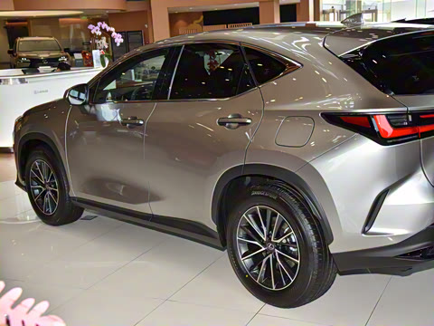 2025�� 400h+ PRIME