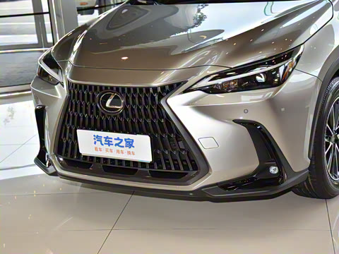 2025�� 400h+ PRIME