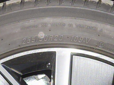 2025�� Ǭ�� Max 5��