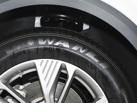 2025�� 565km �����