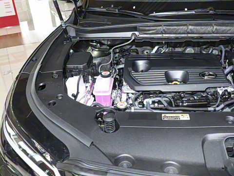 2025�� 350h ����������