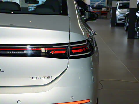 2026�� L 300TSI DSG ��Ӣ��