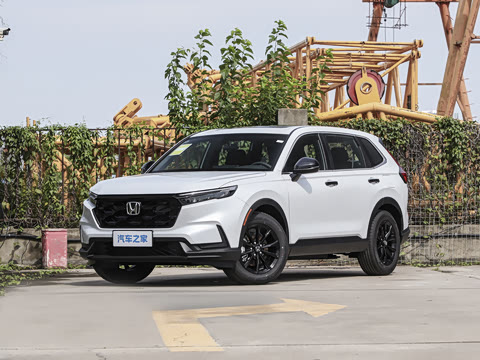 2026�� ȫ��30����ҫ�� �춯 2.0L �������а�