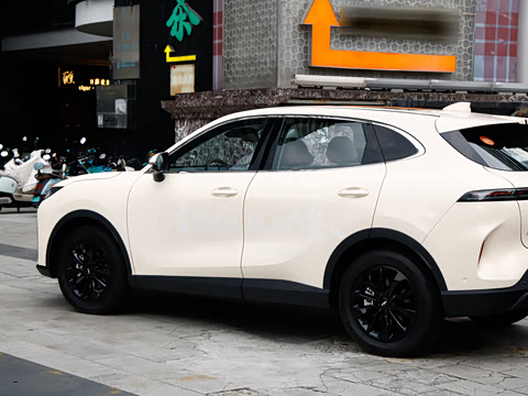 2026�� 600km ������