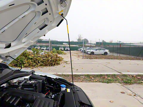 2026�� 200TSI DSG���е�����