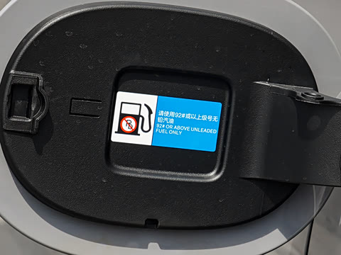 2026�� DM-i 305�캽��