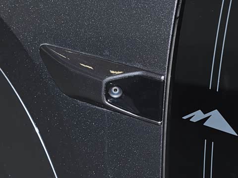 2025�� 205km Pro+�����״��