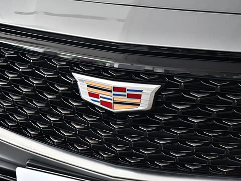 2023�� 25T ������