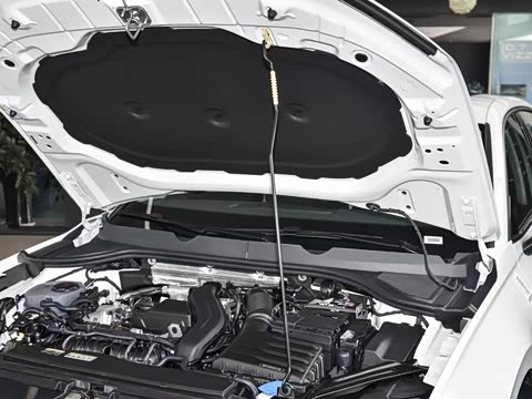 2026�� L 300TSI DSG ��Ӣ��