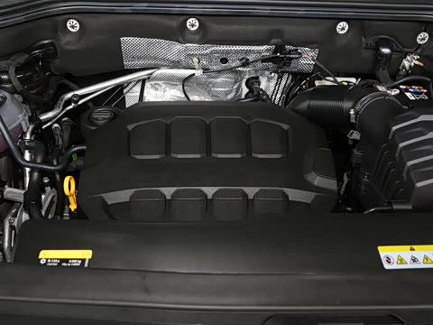 2025�� 380TSI ����R-LineѲ�� ������