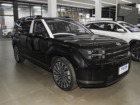 2024�� 2.0T ���ͼ�Pro