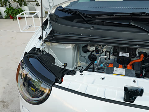 2026�� �����