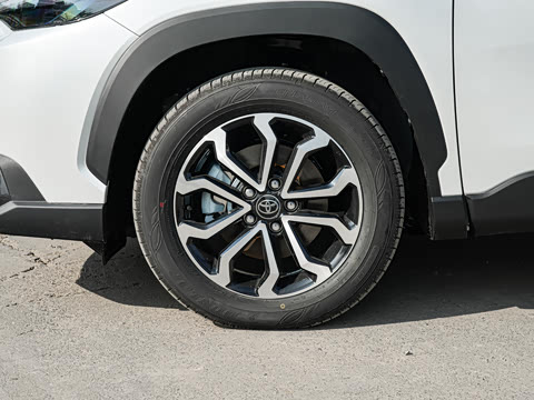 2026�� 2.0L ���ܵ��˫�� ������