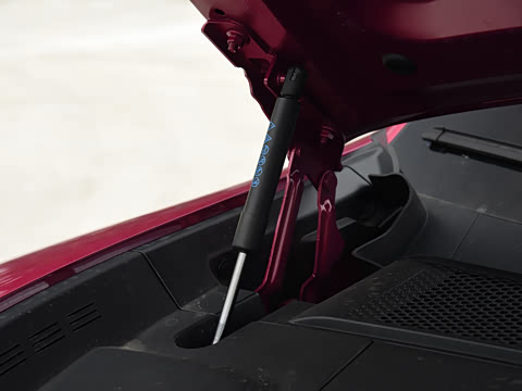 2026�� Max+