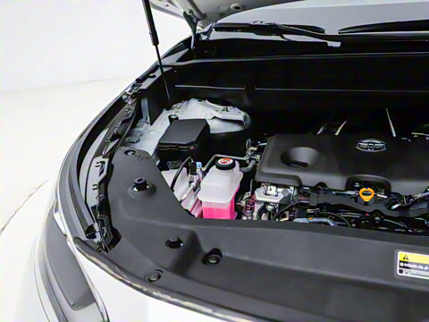 2026�� 2.5L HEV�����콢��