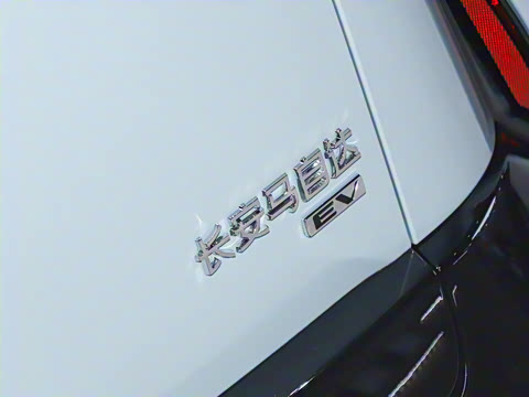 2025�� ����600 Pro