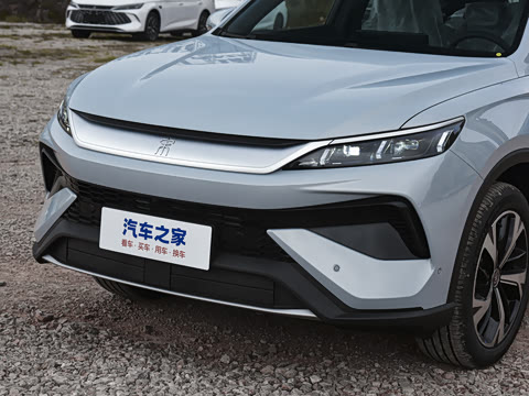 2026�� DM-i 220KM��Խ��