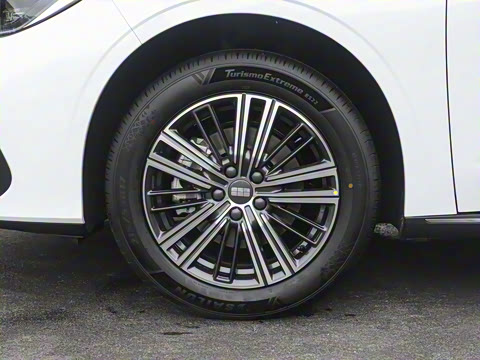 2026�� 125km̽��+��