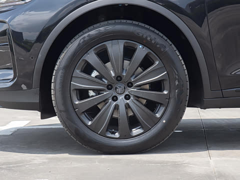 2025�� �Ǽݰ� DM-i 175KM �����״��콢��