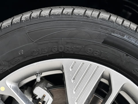 2025�� 565km ������