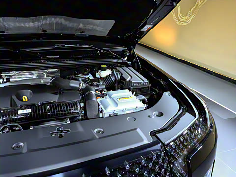 2025�� ������