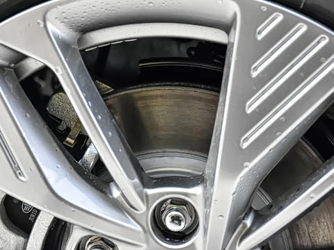 2025�� 565km ������