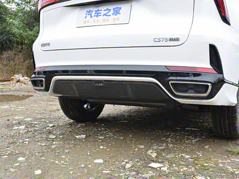 2026�� �ǻ۹ھ��� 1.5T ������ ������