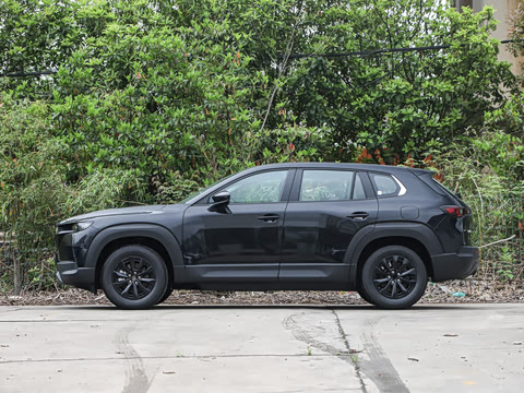 2026�� 2.5L ���а�