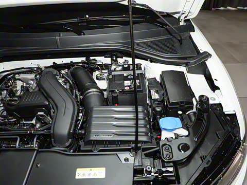 2026�� 300TSI DSG���������