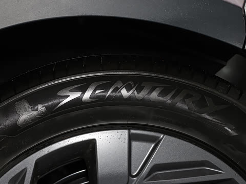 2026�� Ӱ�� 270T ������