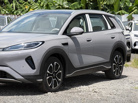 2026�� DM-i 220�캽��