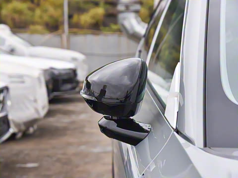 2026�� ������������Plus