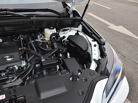 2026�� 350h ��ɫ�޶���