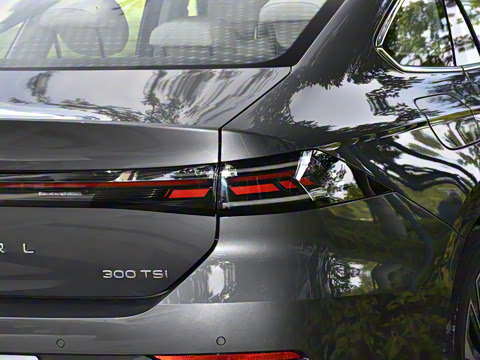 2026�� L 300TSI DSG ������