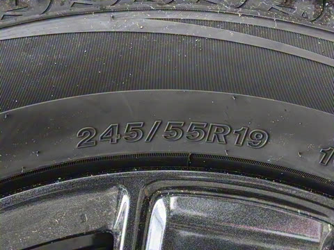 2025�� 501���������