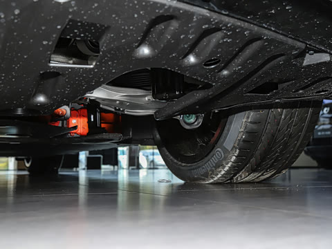 2026�� ����������������