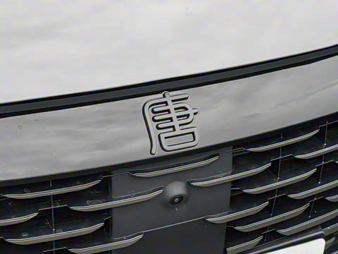 2025�� �Ǽݰ� DM-i 175KM ������