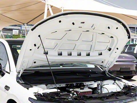 2025�� 550�����״��