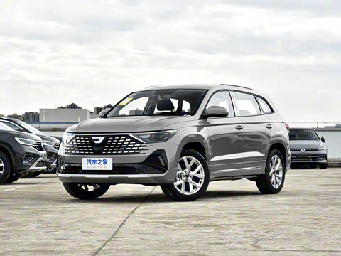 2026�� 280TSI �Զ��ȷ��