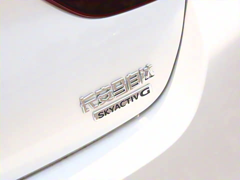 2025�� 2.0L �Զ���ҫ��