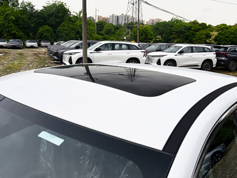 2026�� 1.5L �������� ������
