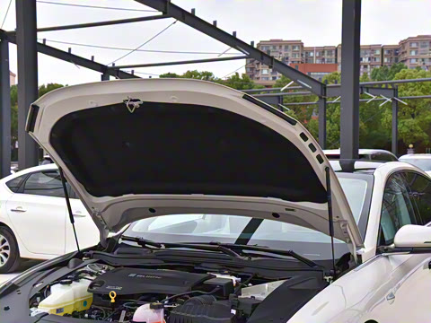 2025�� ������ң���а�