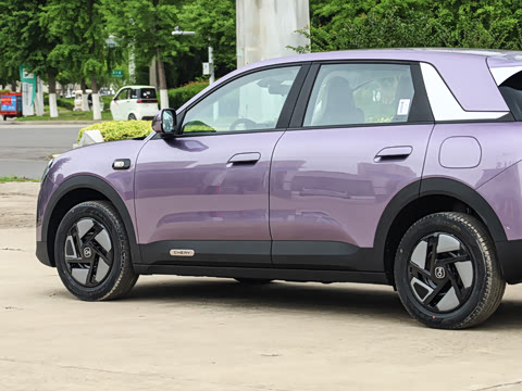 2026�� 310������