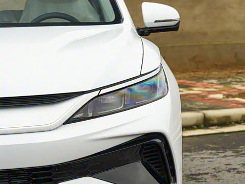 2026�� DM-i 133KM��Խ��