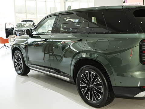 2025�� 205km Pro+�����״��