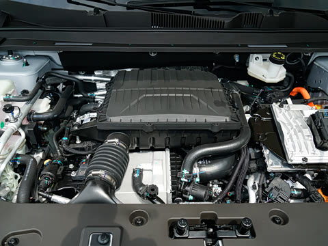 2026�� 121km ���ʰ� 5��